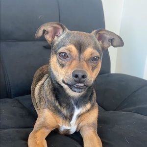 Meet your Posher, Justin